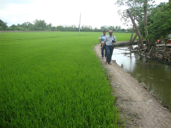 Chúng tôi đi trên những cánh đồng mênh mông