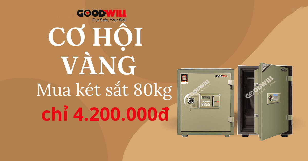 Cách chọn két sắt phù hợp với nhu cầu sử dụng và ngân sách